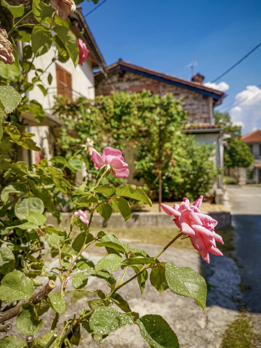 Il villaggio di Pedrovo Il villaggio di Pedrovo