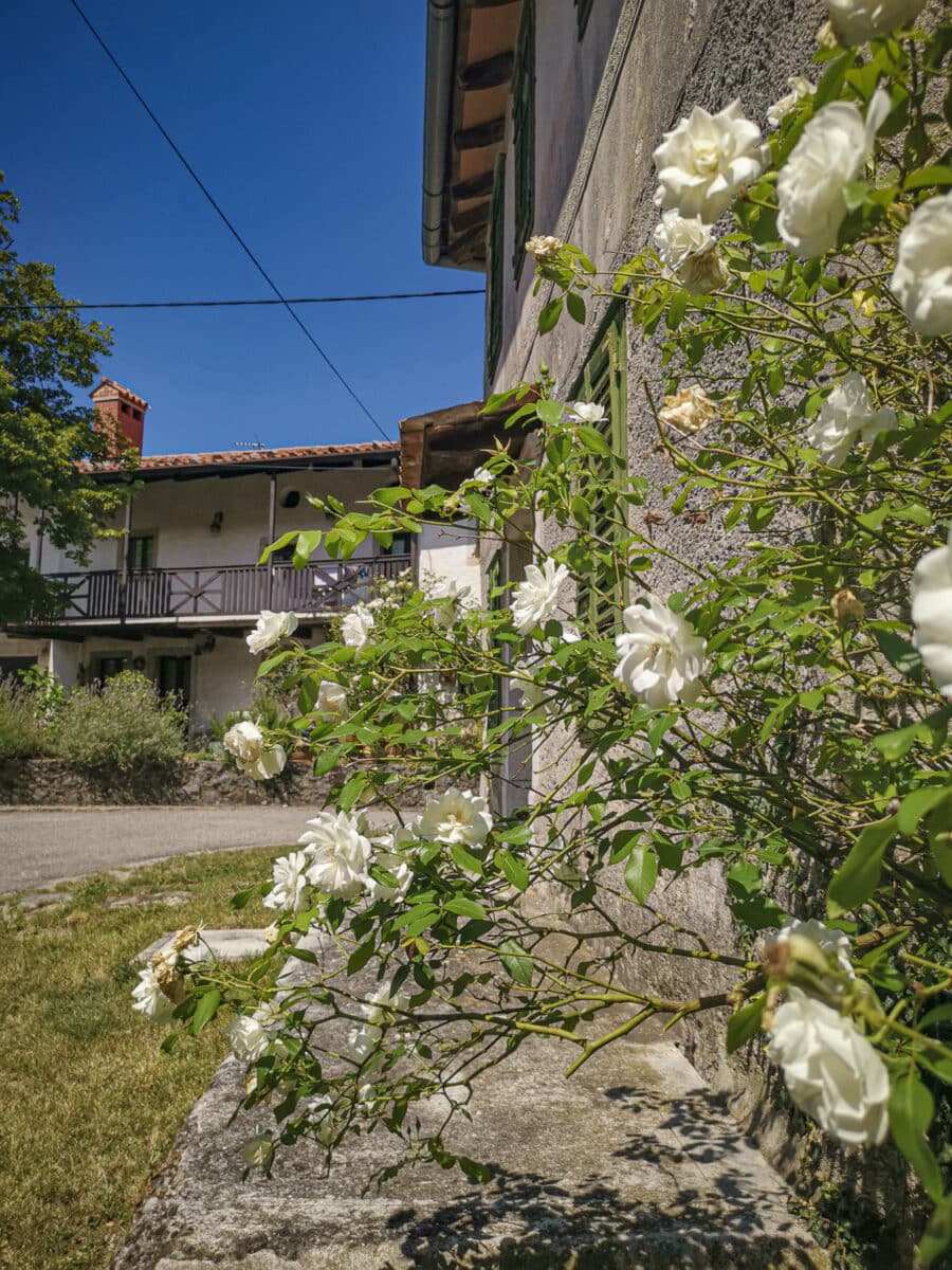 Il villaggio di Pedrovo Il villaggio di Pedrovo