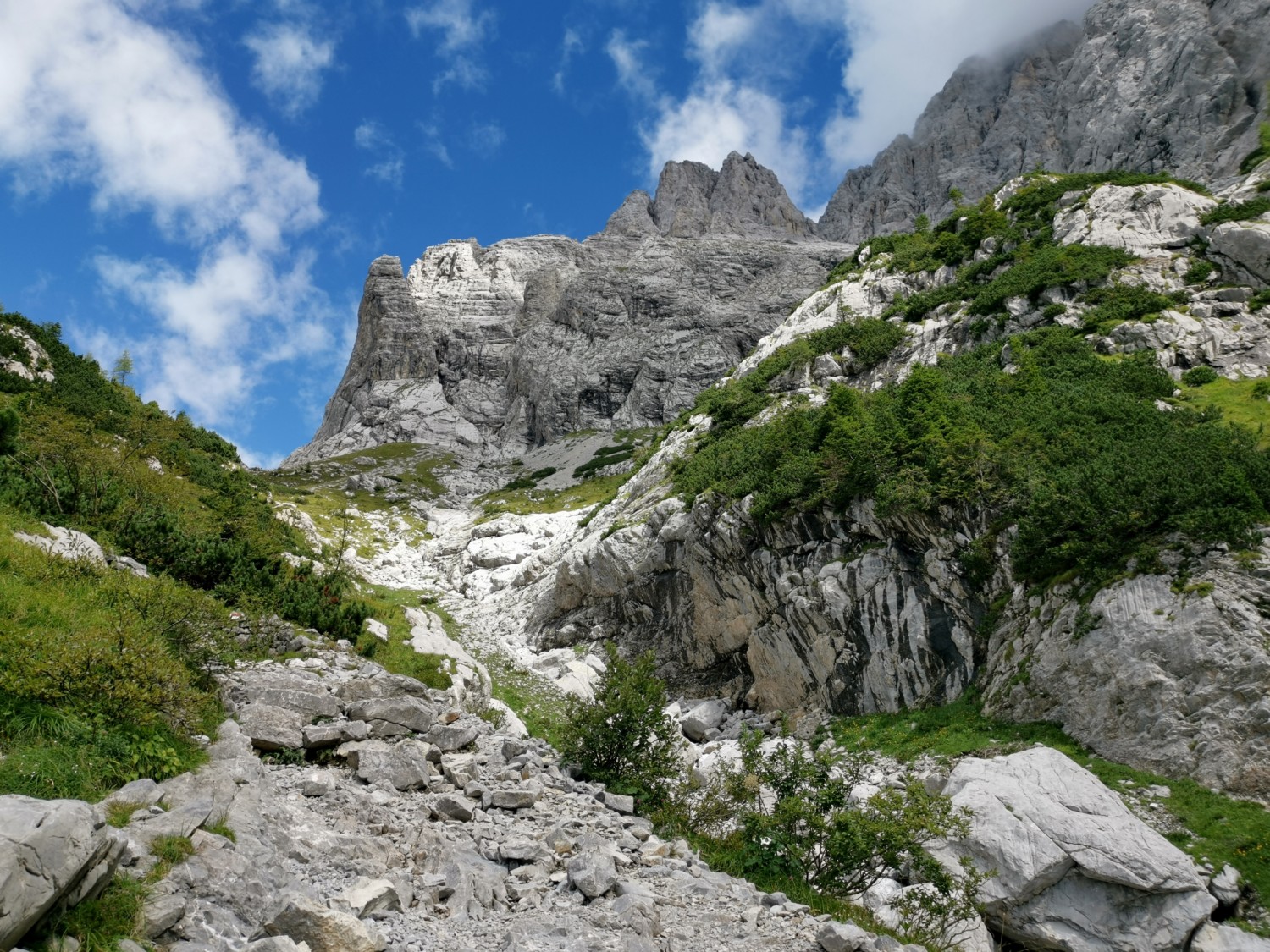 Il sentiero verso il lago Il sentiero verso il lago