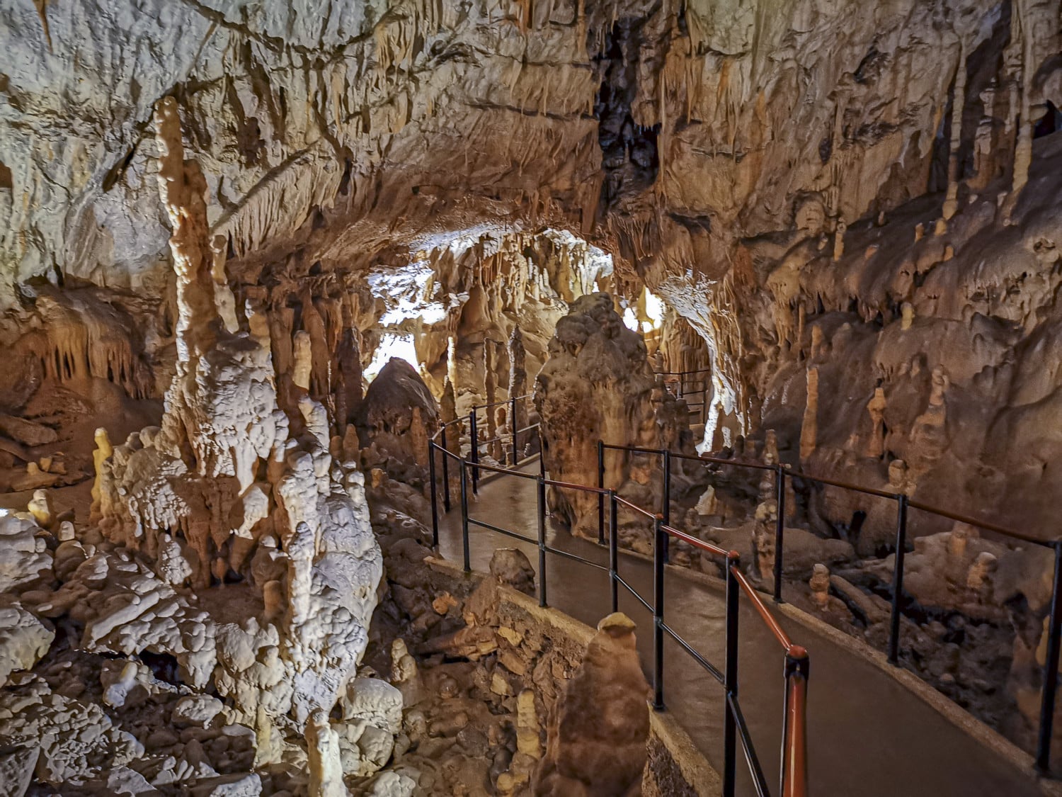 PressTourSLO_Grotte di Postojna_243 PressTourSLO_Grotte di Postojna_243