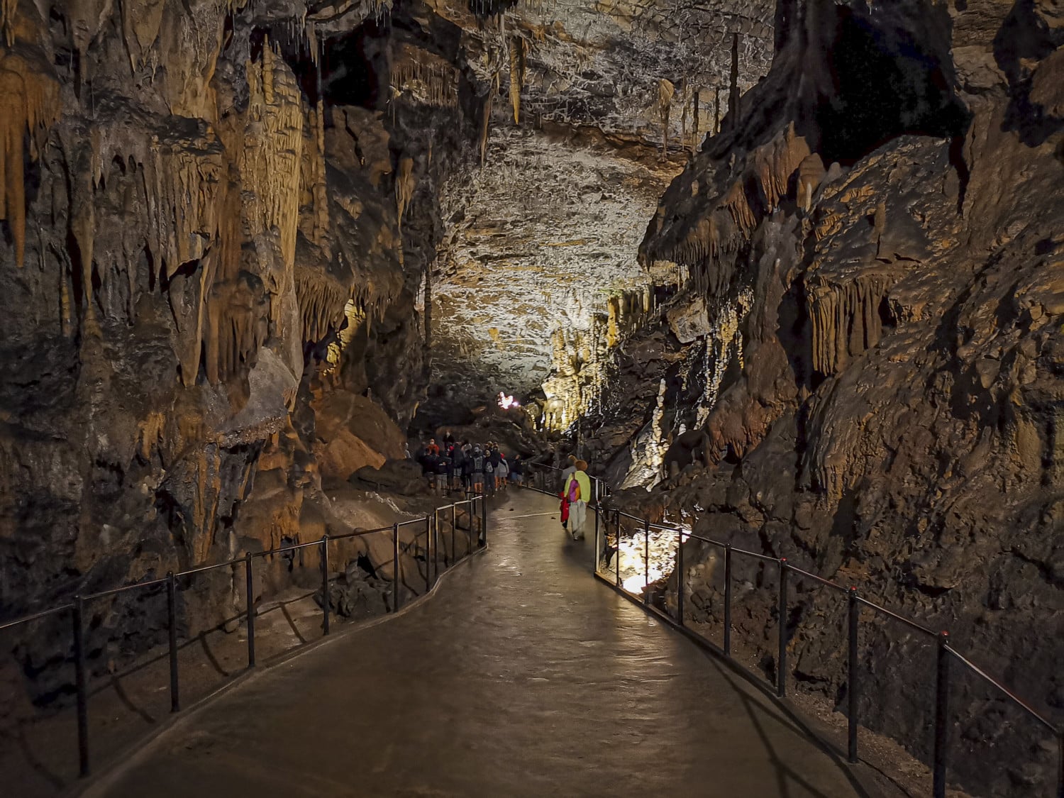 PressTourSLO_Grotte di Postojna_244 PressTourSLO_Grotte di Postojna_244
