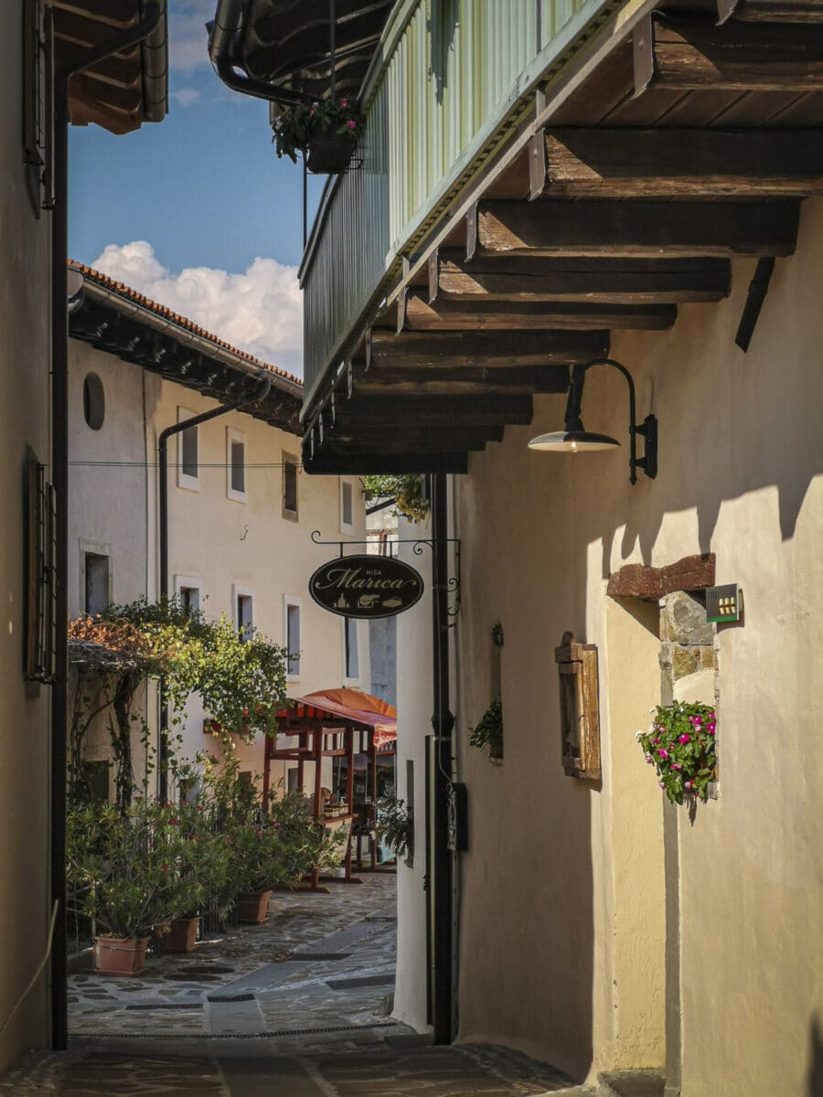 PressTourSLO_HouseCulture Smartno_070 PressTourSLO_HouseCulture