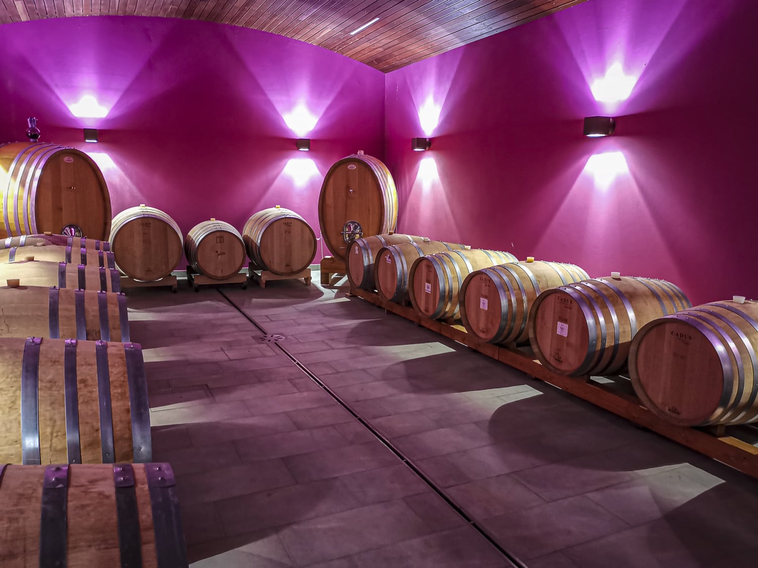 PressTourSLO_Wine Cellar Pulec_008 PressTourSLO_Wine Cellar Pulec_008