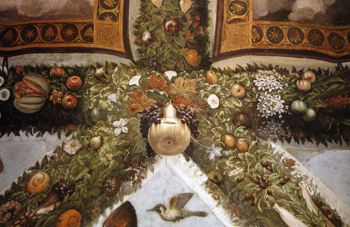 Giovanni da Udine Particolare di una crociera (lato sud). Roma Villa Farnesina, Loggia di Psiche Giovanni da Udine Particolare di una crociera (lato sud). Roma Villa Farnesina, Loggia di Psiche