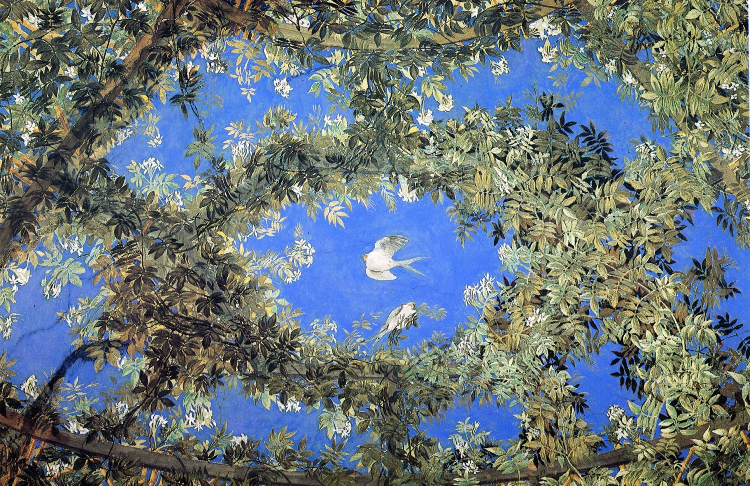 Giovanni da Udine Particolare. Pergolato delle Logge del primo piano. Città del Vaticano, Palazzo Apostolico Giovanni da Udine Particolare. Pergolato delle Logge del primo piano. Città del Vaticano, Palazzo Apostolico