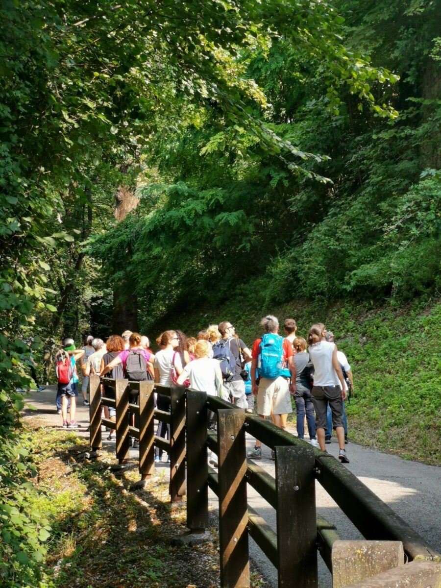 Escursione sulla strada della Valpiccola Escursione sulla strada della Valpiccola