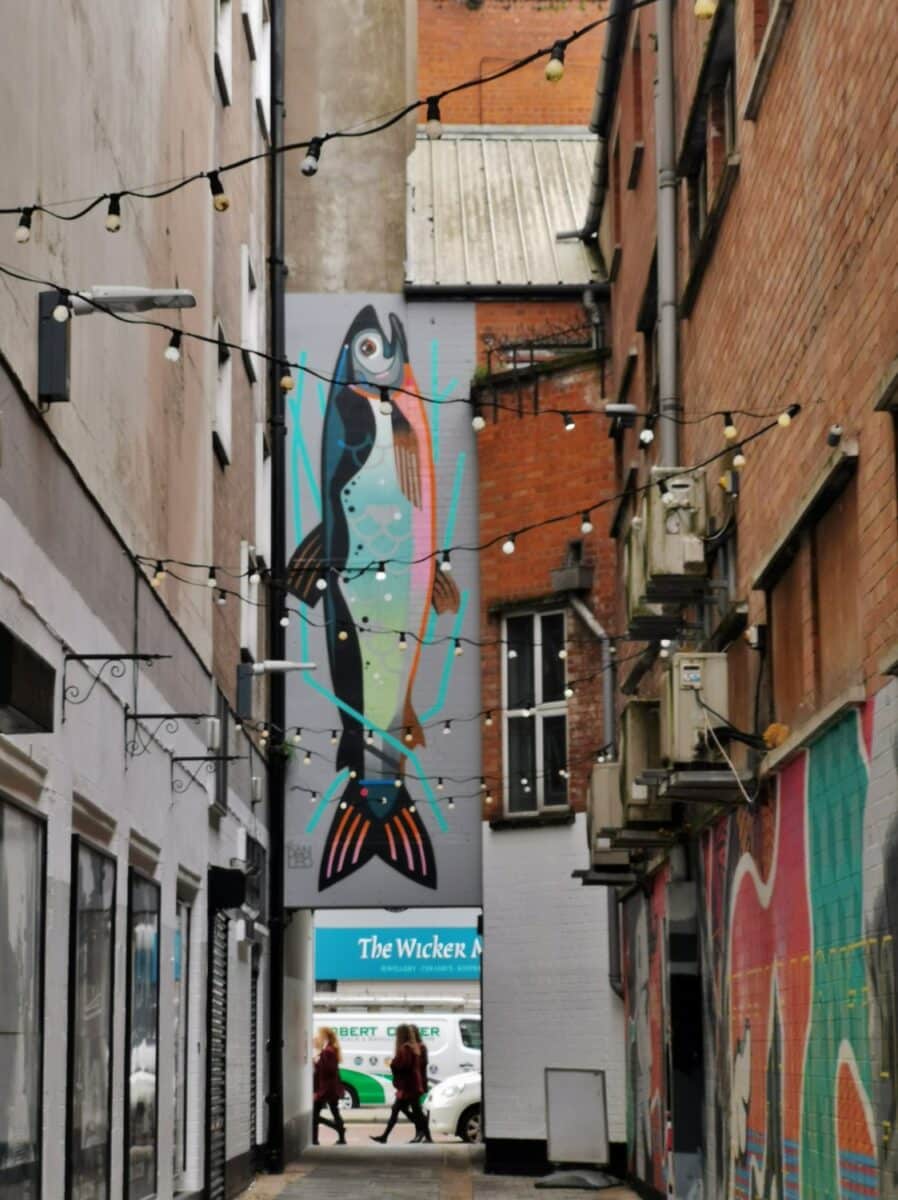 Belfast Entries Belfast Entries