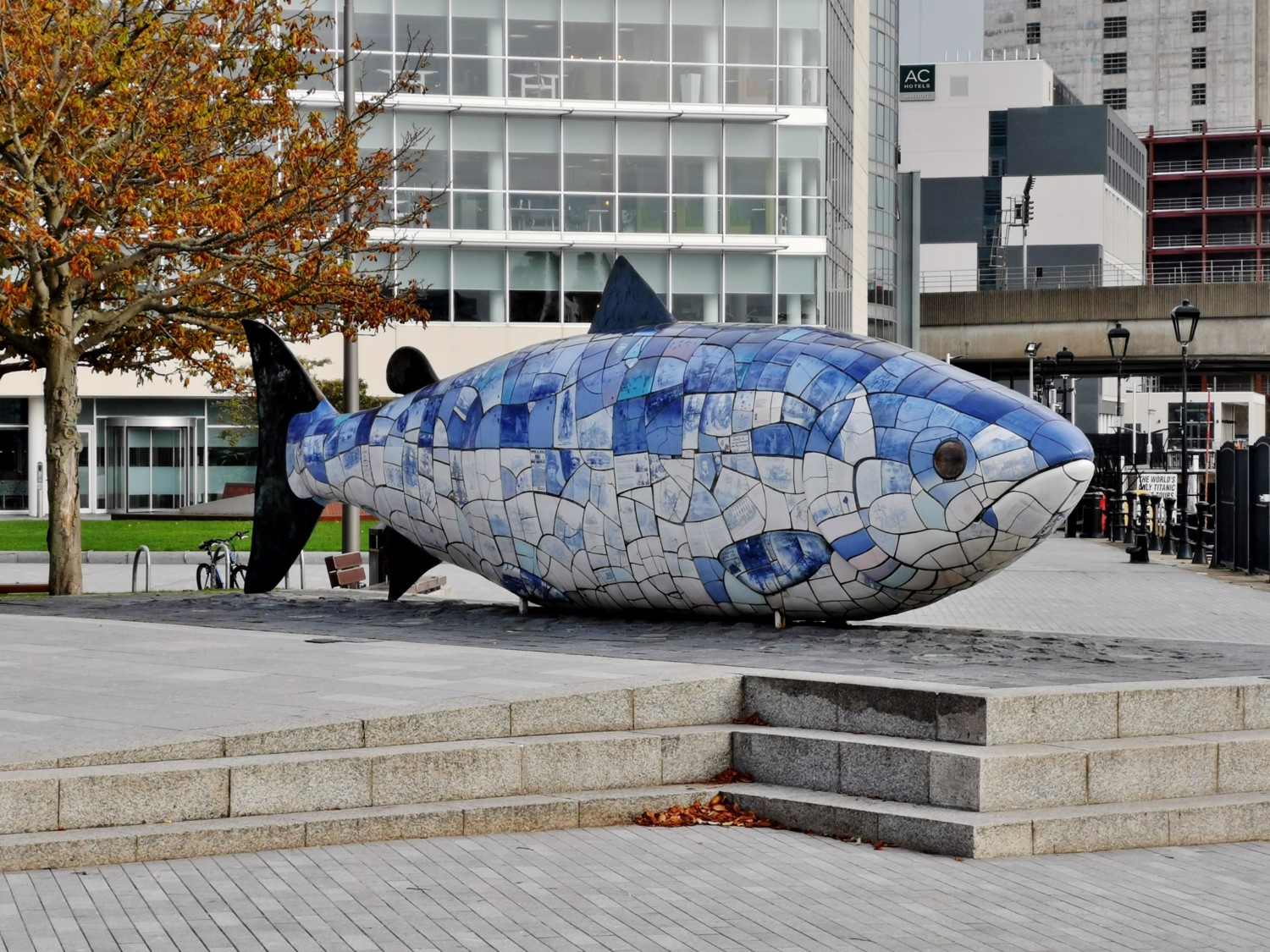 The Big Fish The Big Fish