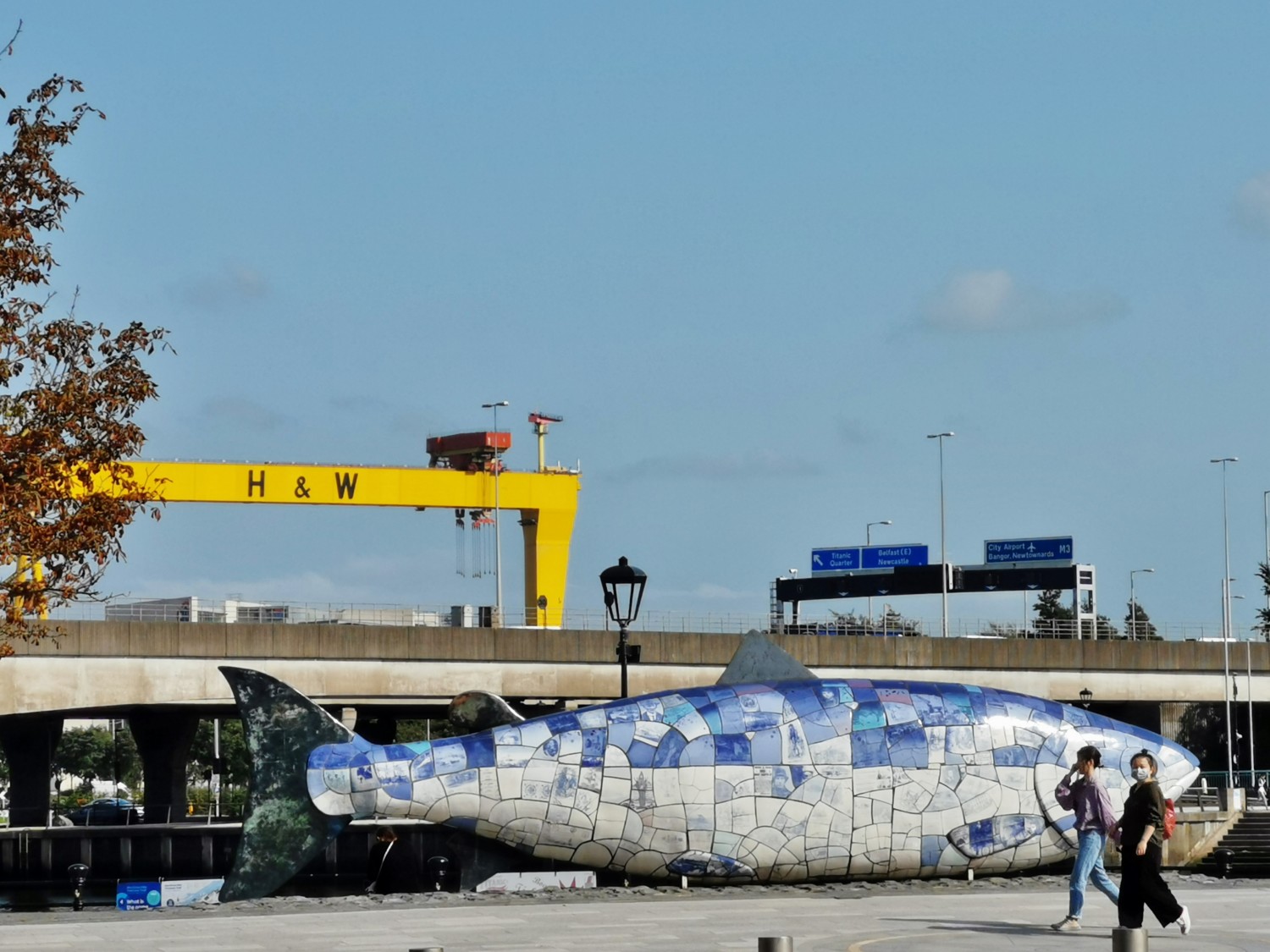 The Big Fish The Big Fish