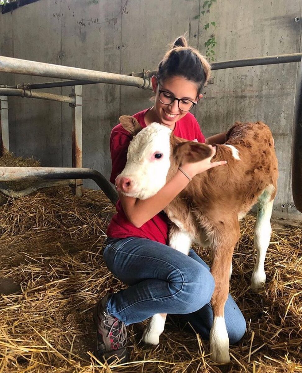 elisa manig elisa manig