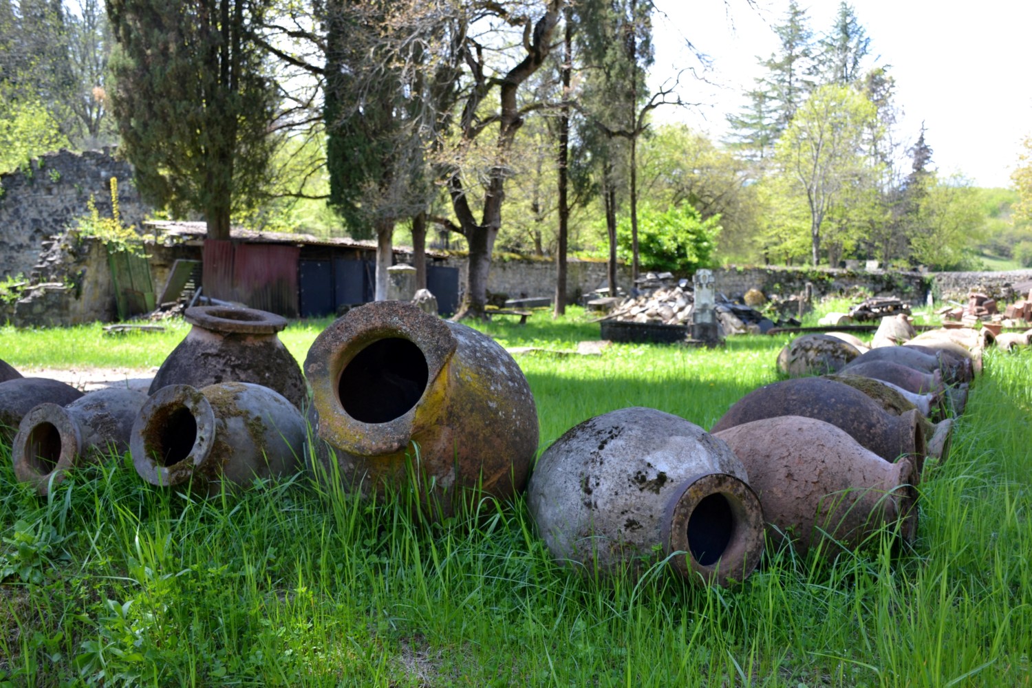 Antiche anfore per la produzione del vino nel monastero di Ikalto Antiche anfore per la produzione del vino nel monastero di Ikalto