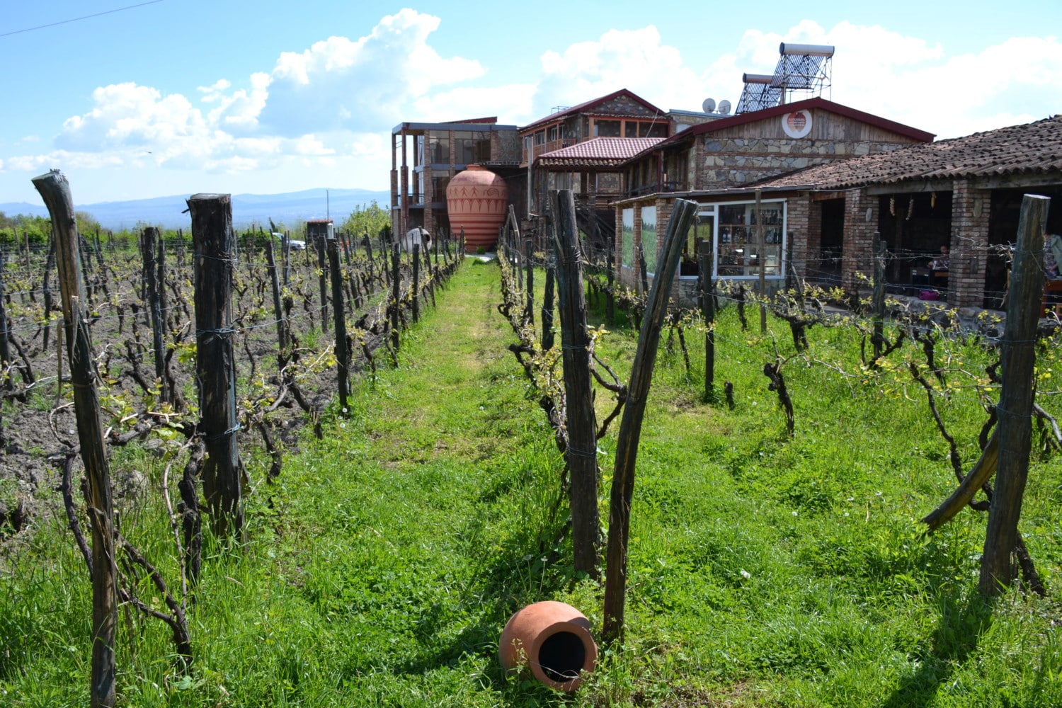 Twins Old Cellar Twins Old Cellar