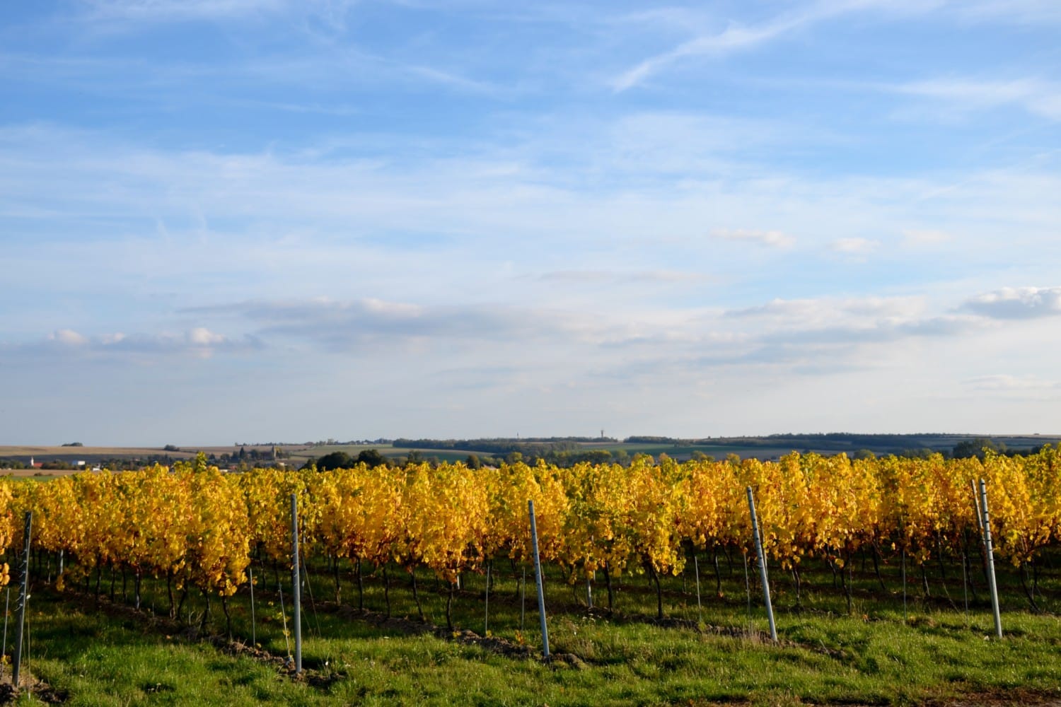 strada del vino dei piccoli carpazi strada del vino dei piccoli carpazi