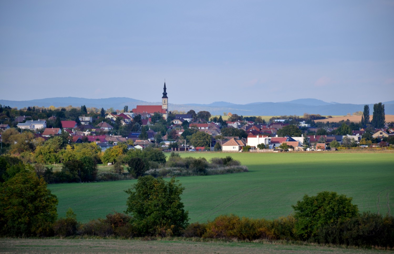 strada del vino dei piccoli carpazi strada del vino dei piccoli carpazi