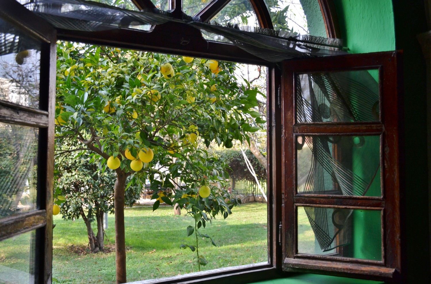 dervisci e bektashi a tirana dervisci e bektashi a tirana