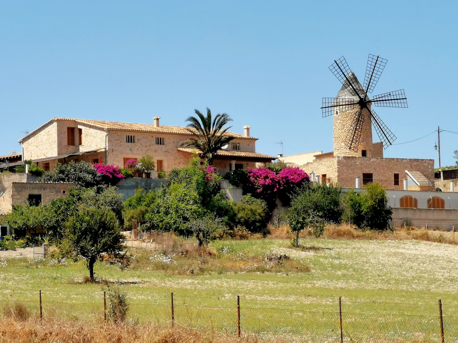 Scorcio di Sineu con i tipici mulini Scorcio di Sineu con i tipici mulini