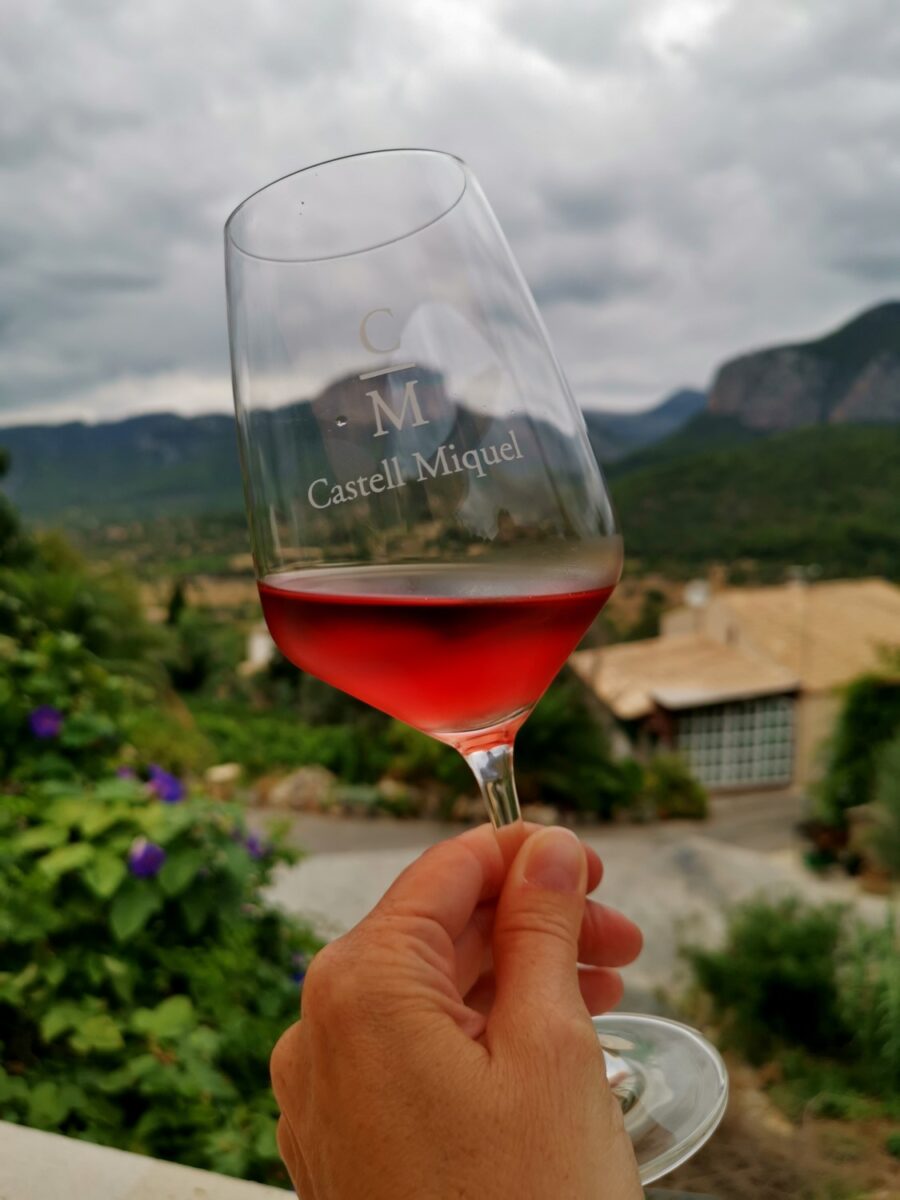 Degustazione da Castell Miquel Degustazione da Castell Miquel