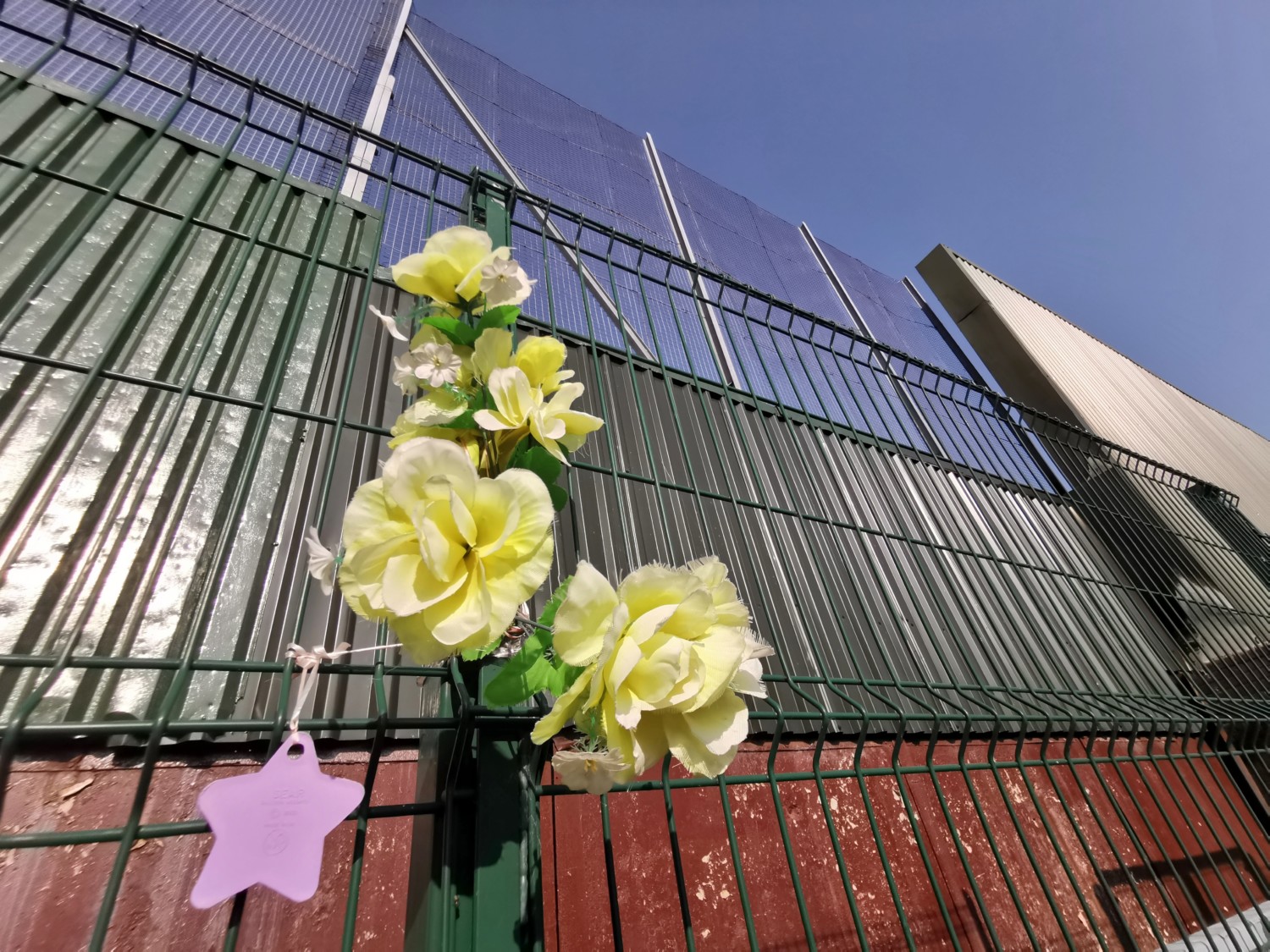 Peace Lines Peace Lines