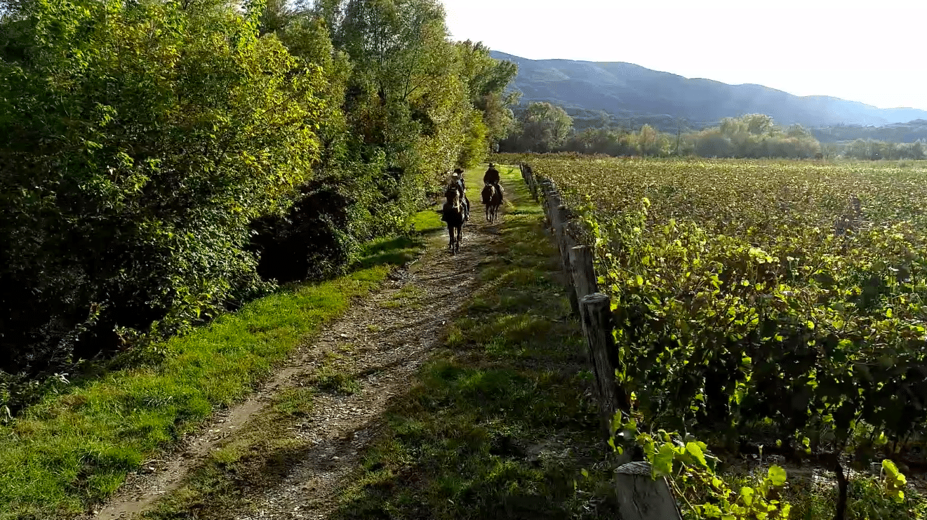 Fattoria Na hribu Fattoria Na hribu