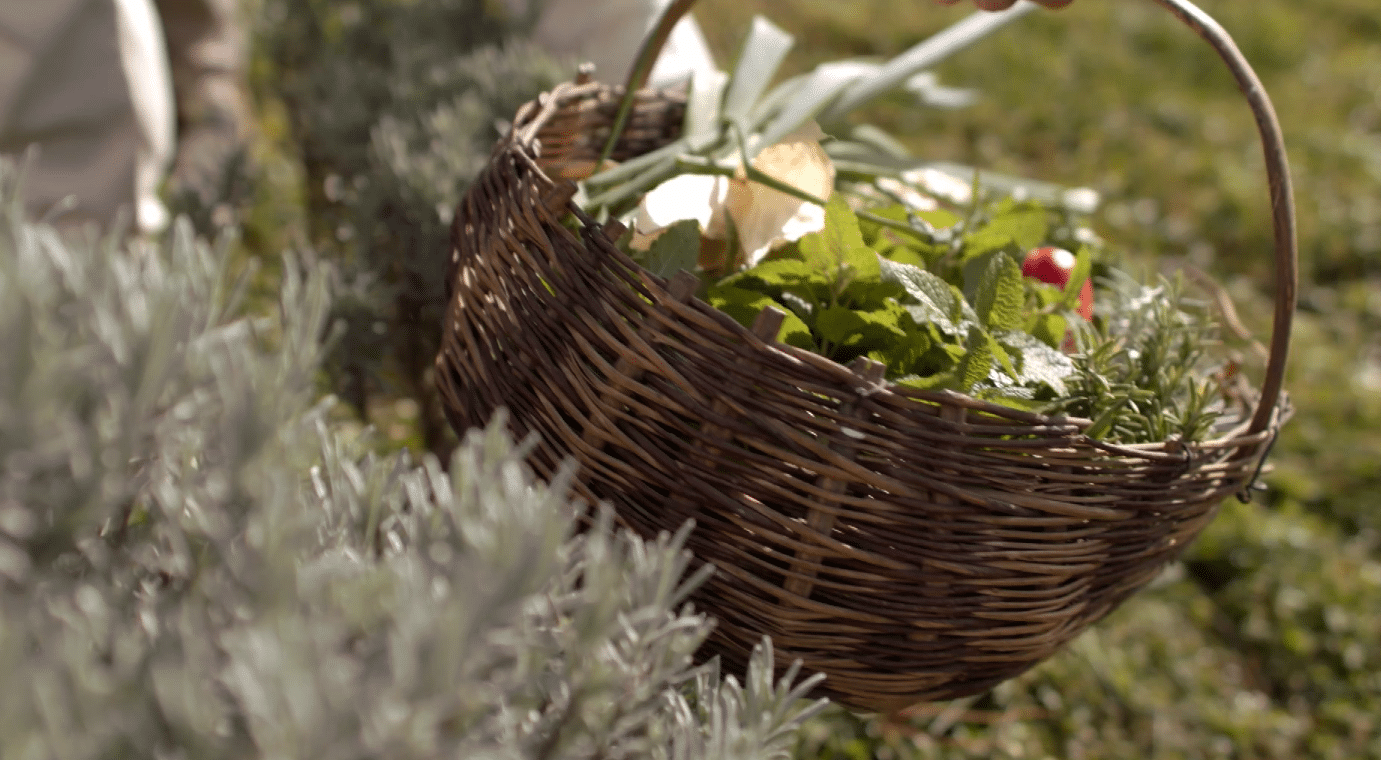 Prodotti della Fattoria Na Štacjonu Prodotti della Fattoria Na Štacjonu