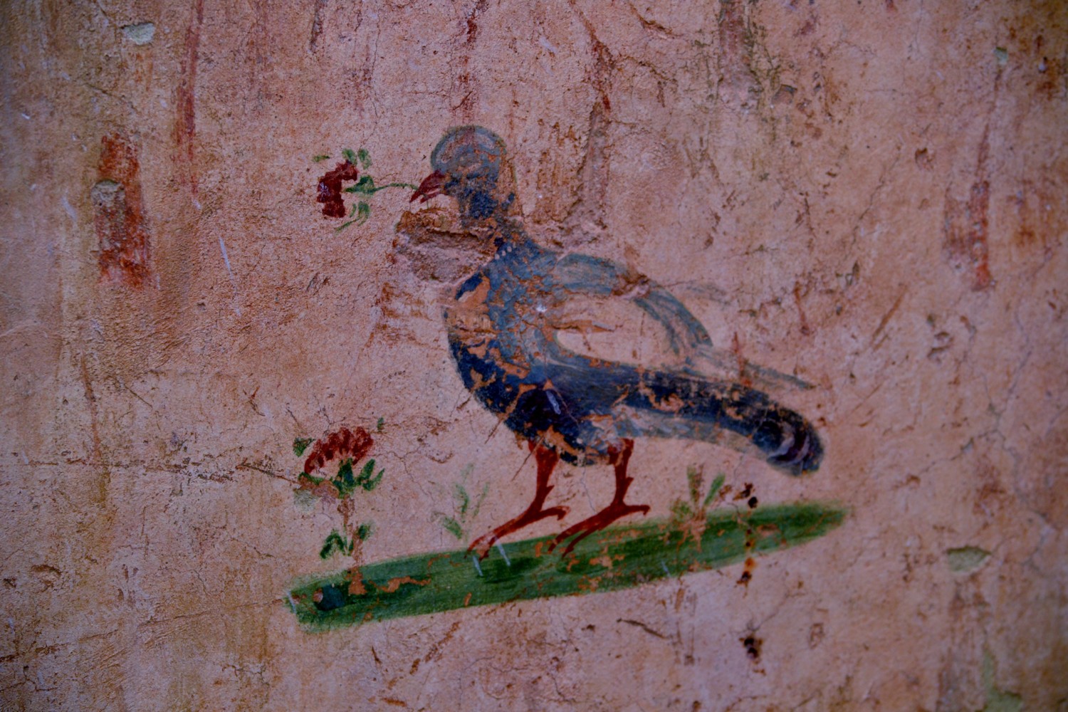 Graffiti nelle case terrazza Graffiti nelle case terrazza