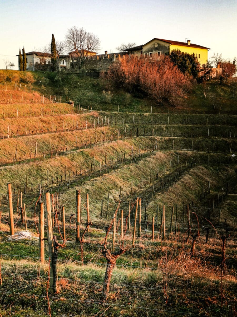 cosa vedere sul collio friulano cosa vedere sul collio friulano