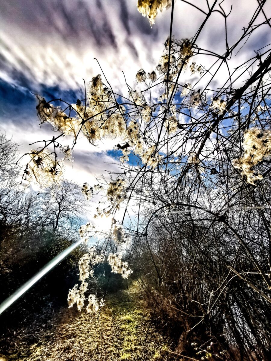 cosa vedere sul collio friulano cosa vedere sul collio friulano