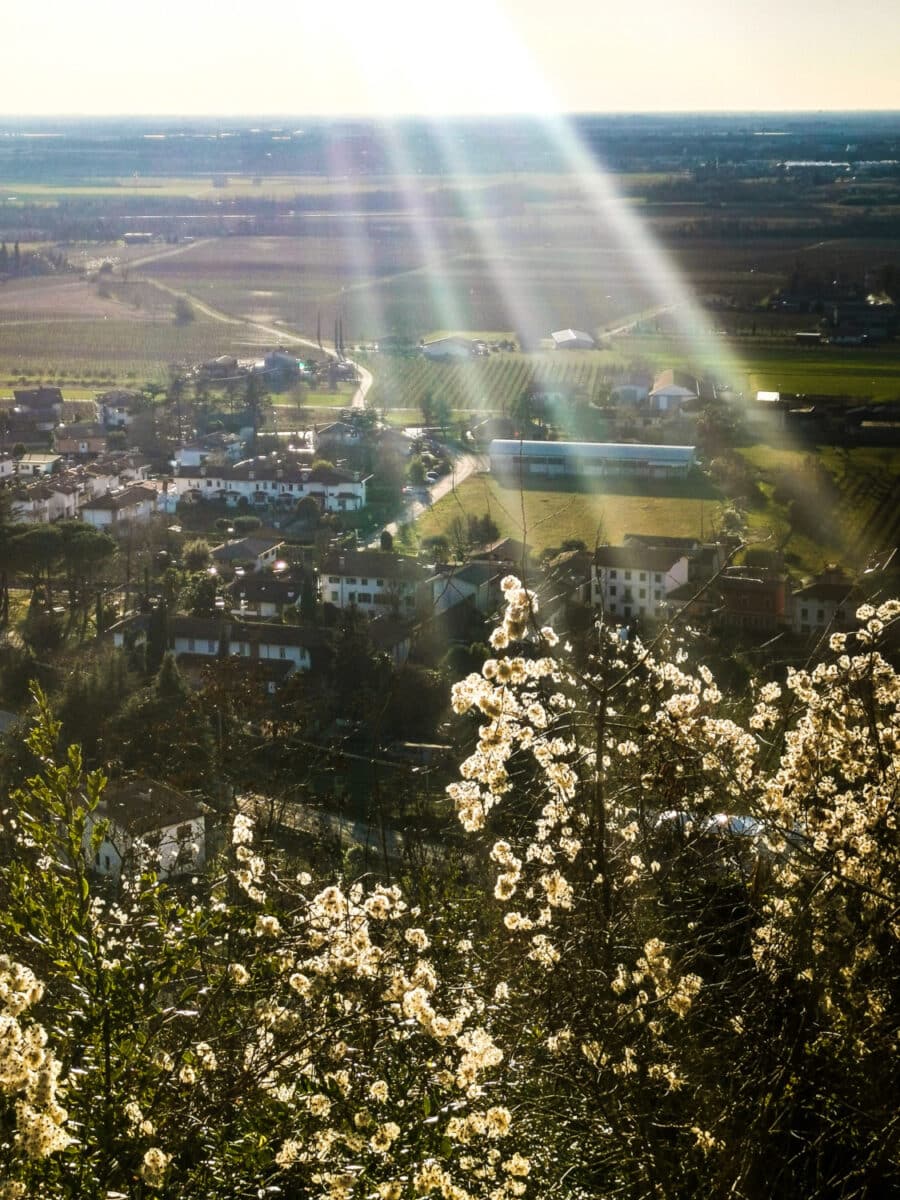 cosa vedere sul collio friiulano cosa vedere sul collio friiulano