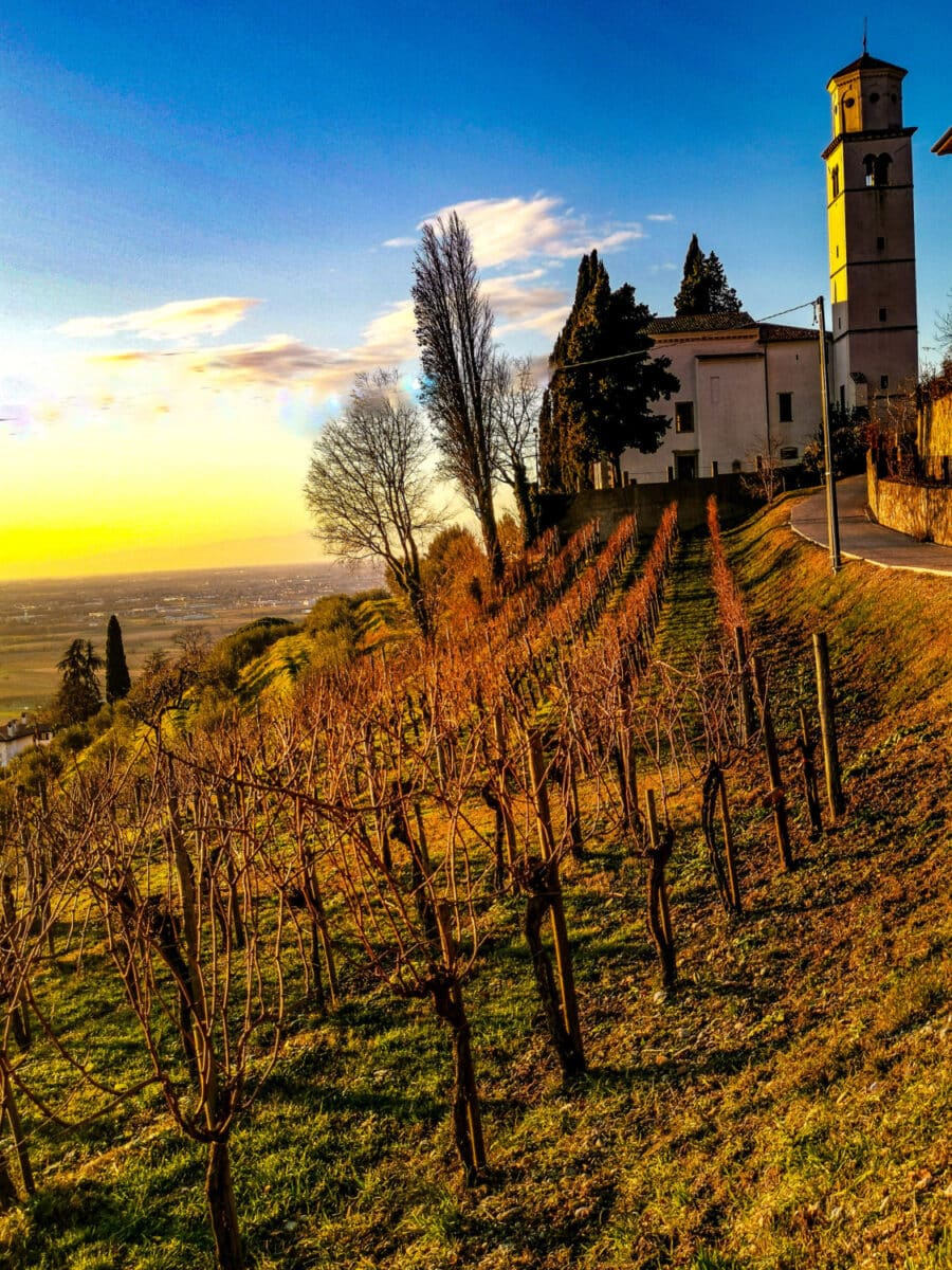 cosa vedere sul collio friiulano cosa vedere sul collio friiulano
