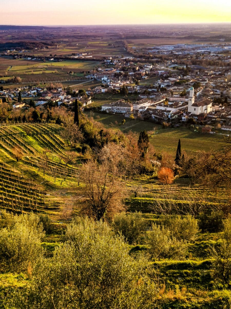 cosa vedere sul collio friiulano cosa vedere sul collio friiulano
