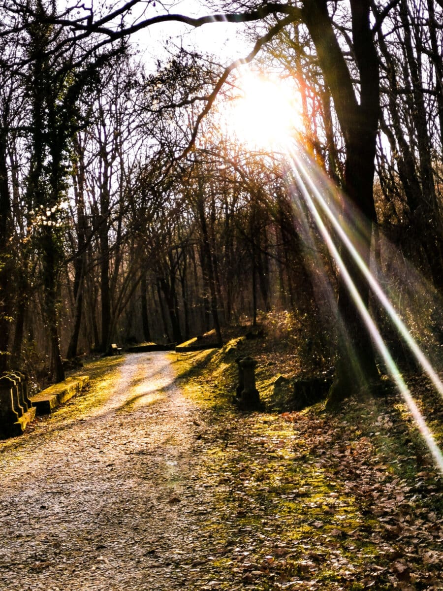 cosa vedere sul collio friulano cosa vedere sul collio friulano