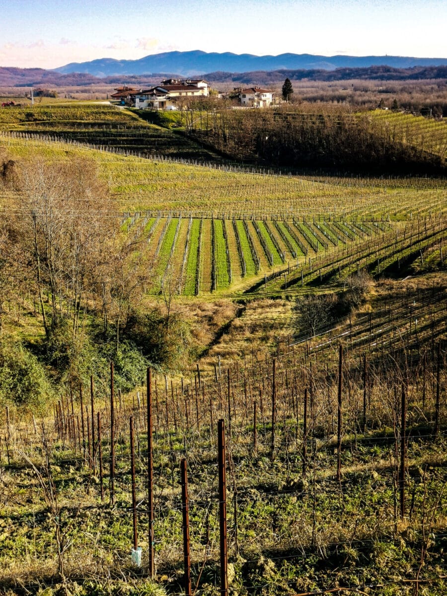 cosa vedere sul collio friulano cosa vedere sul collio friulano