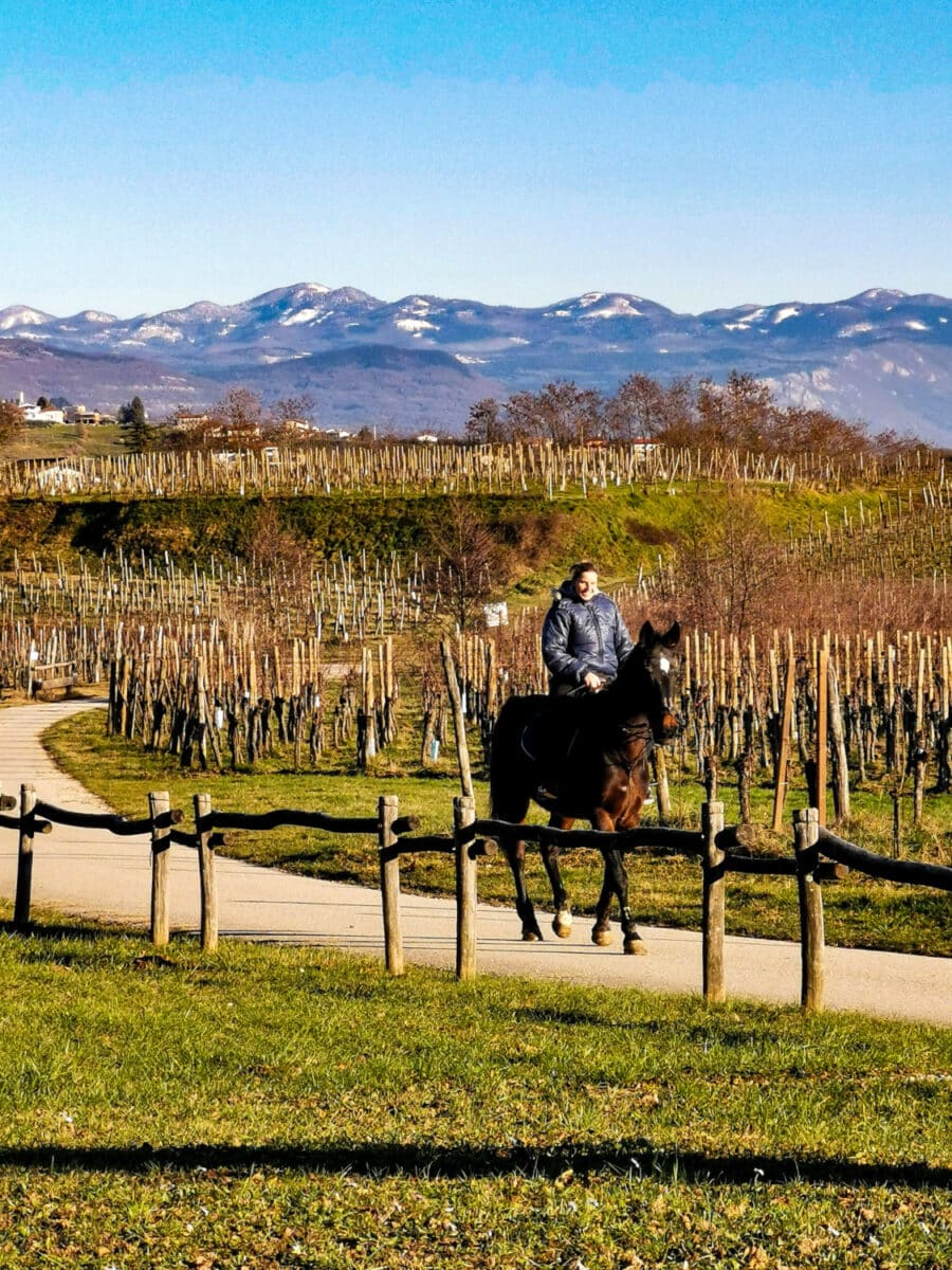 cosa vedere sul collio friulano cosa vedere sul collio friulano