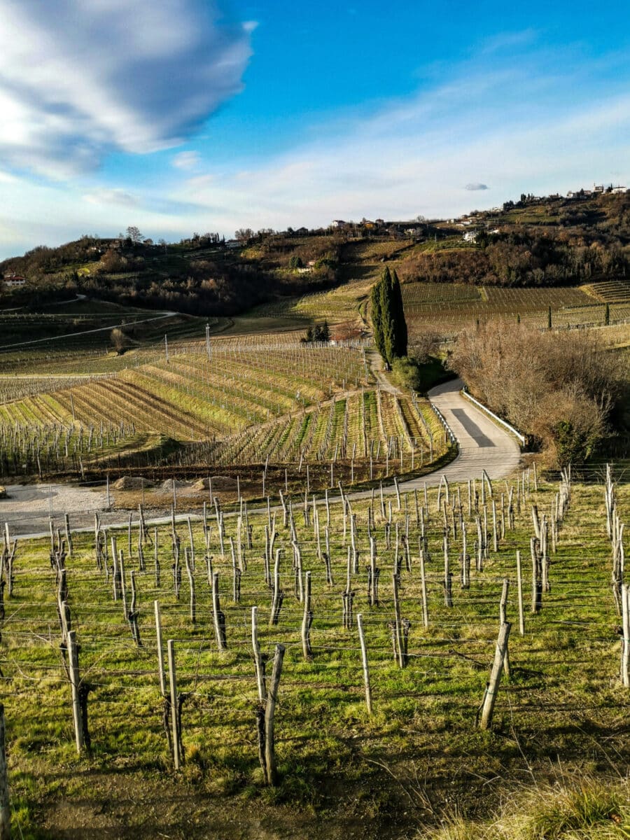 cosa vedere sul collio friulano cosa vedere sul collio friulano