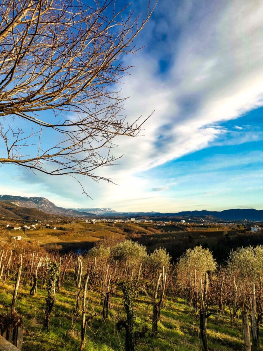 cosa vedere sul collio friulano cosa vedere sul collio friulano