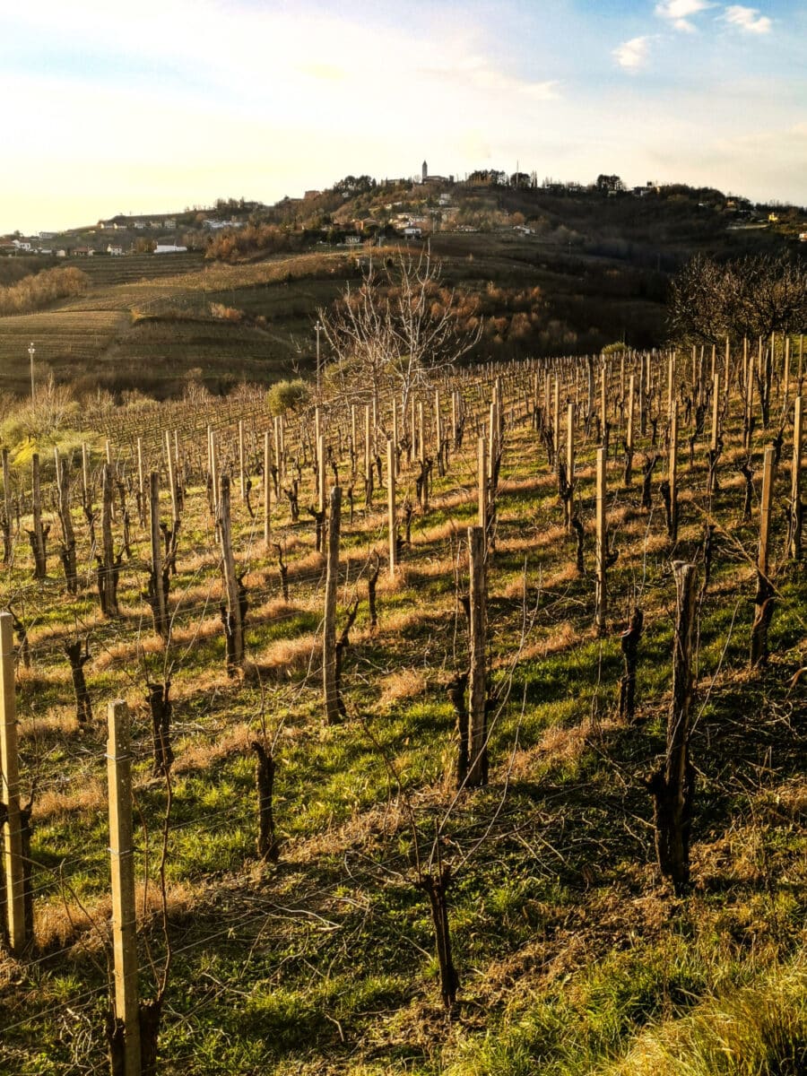 cosa vedere sul collio friulano cosa vedere sul collio friulano