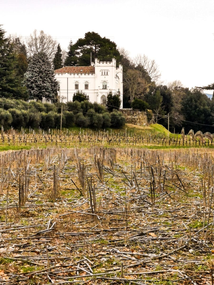 cosa vedere sul collio friulano cosa vedere sul collio friulano