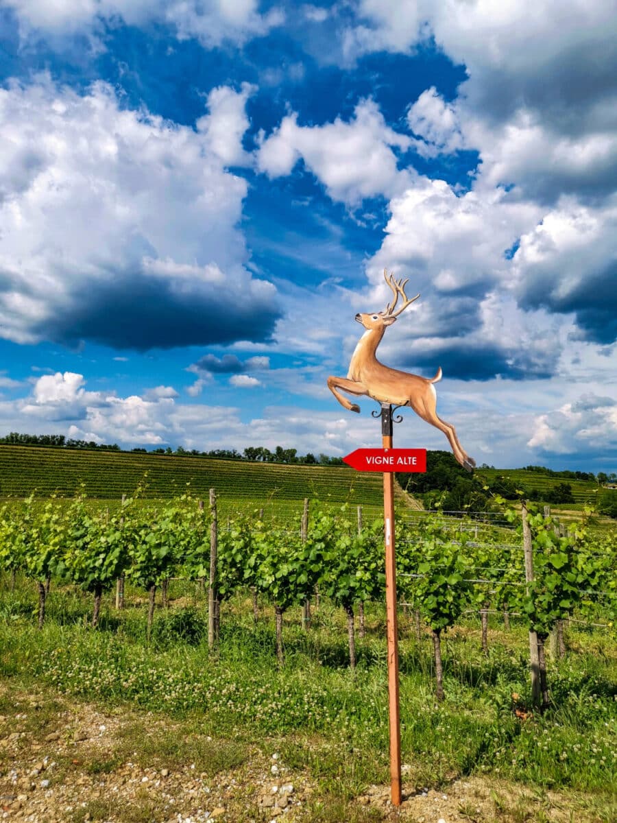 cosa vedere sul collio friulano cosa vedere sul collio friulano