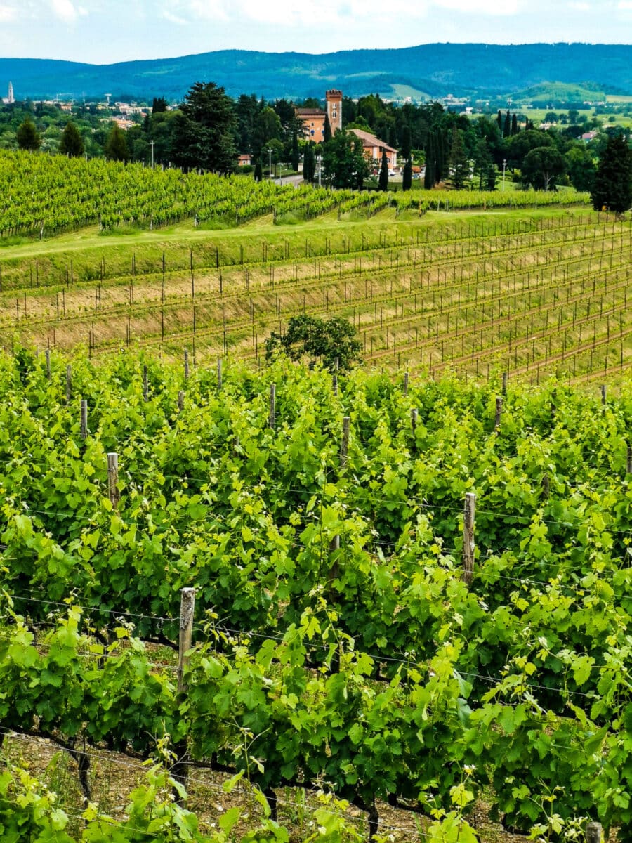 cosa vedere sul collio friulano cosa vedere sul collio friulano