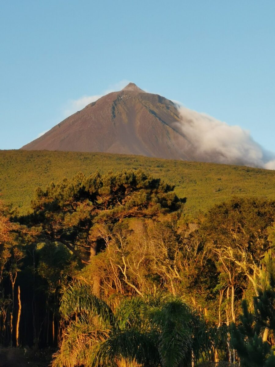 Monte Pico Monte Pico