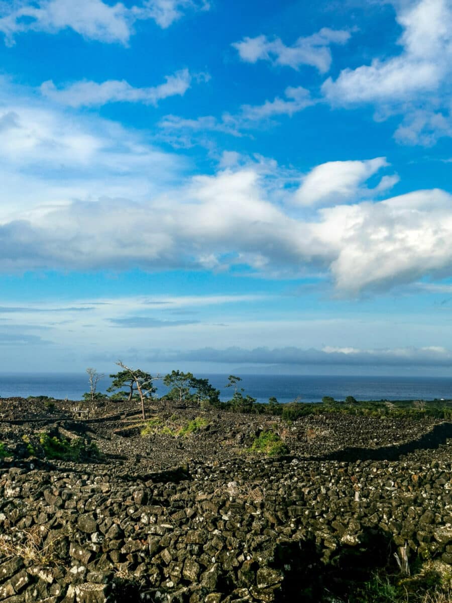 Tipico paesaggio dell'isola di Pico Tipico paesaggio dell'isola di Pico