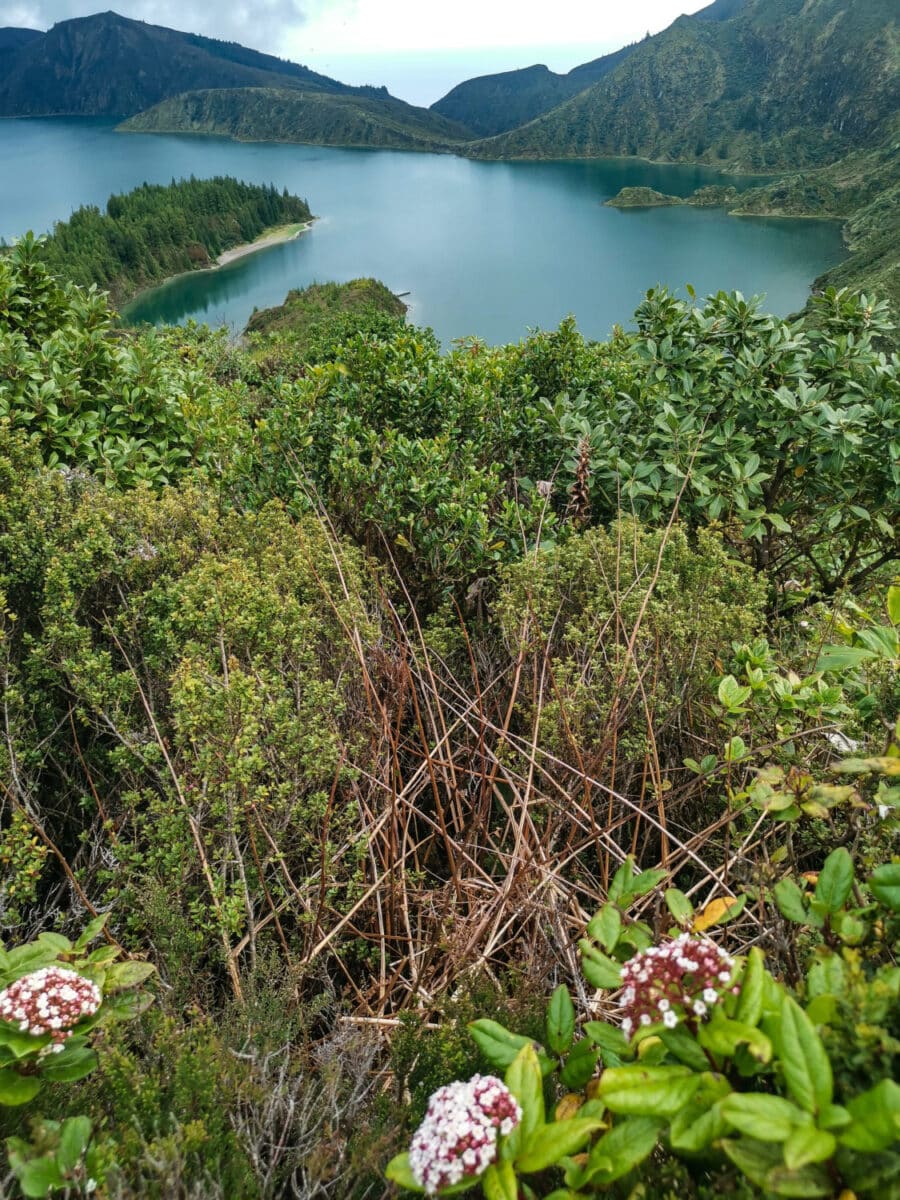 Lagoa da Fogo 5. Lagoa da Fogo
