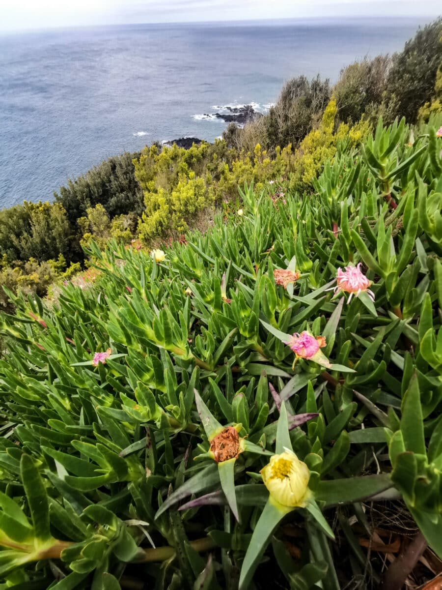 Miradouro da Ilha Sabrina Miradouro da Ilha Sabrina