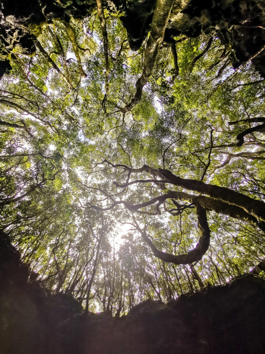 Ingresso alla Gruta das Torres Ingresso alla Gruta das Torres