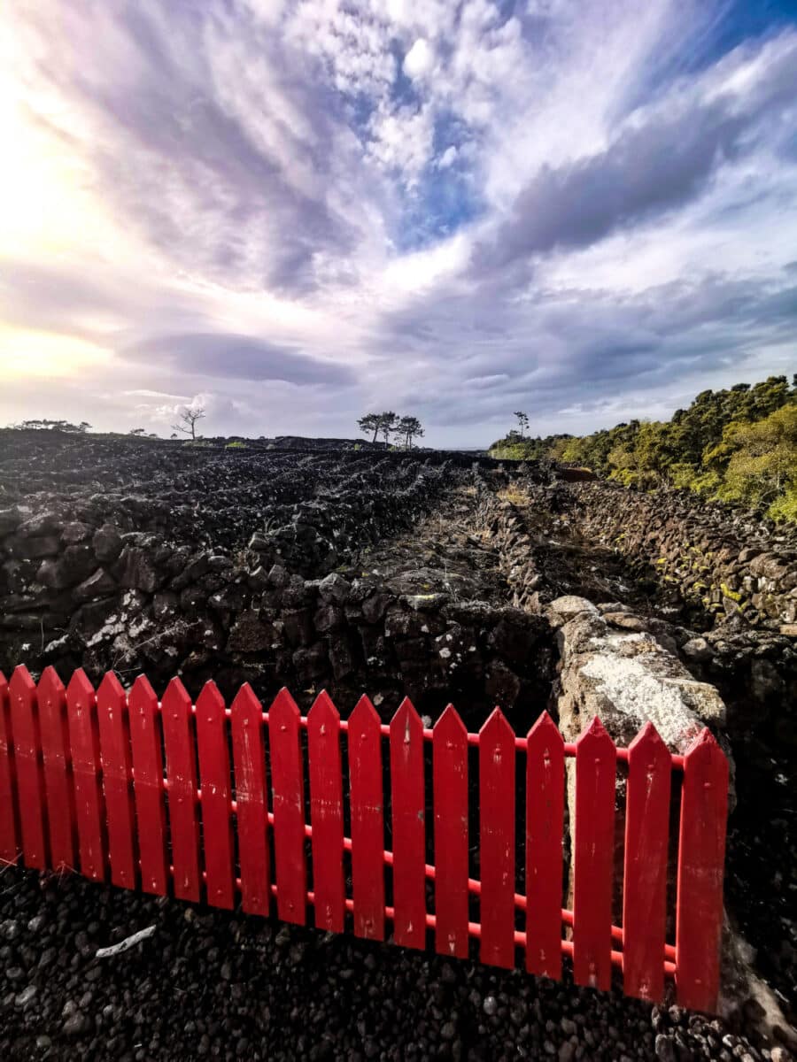 Paisagem da Cultura da Vinha Paisagem da Cultura da Vinha