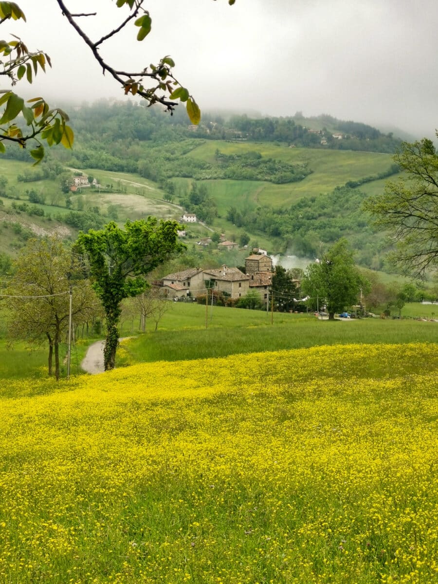 Lungo il sentiero tra le colline che conduce alla pieve Lungo il sentiero tra le colline che conduce alla pieve