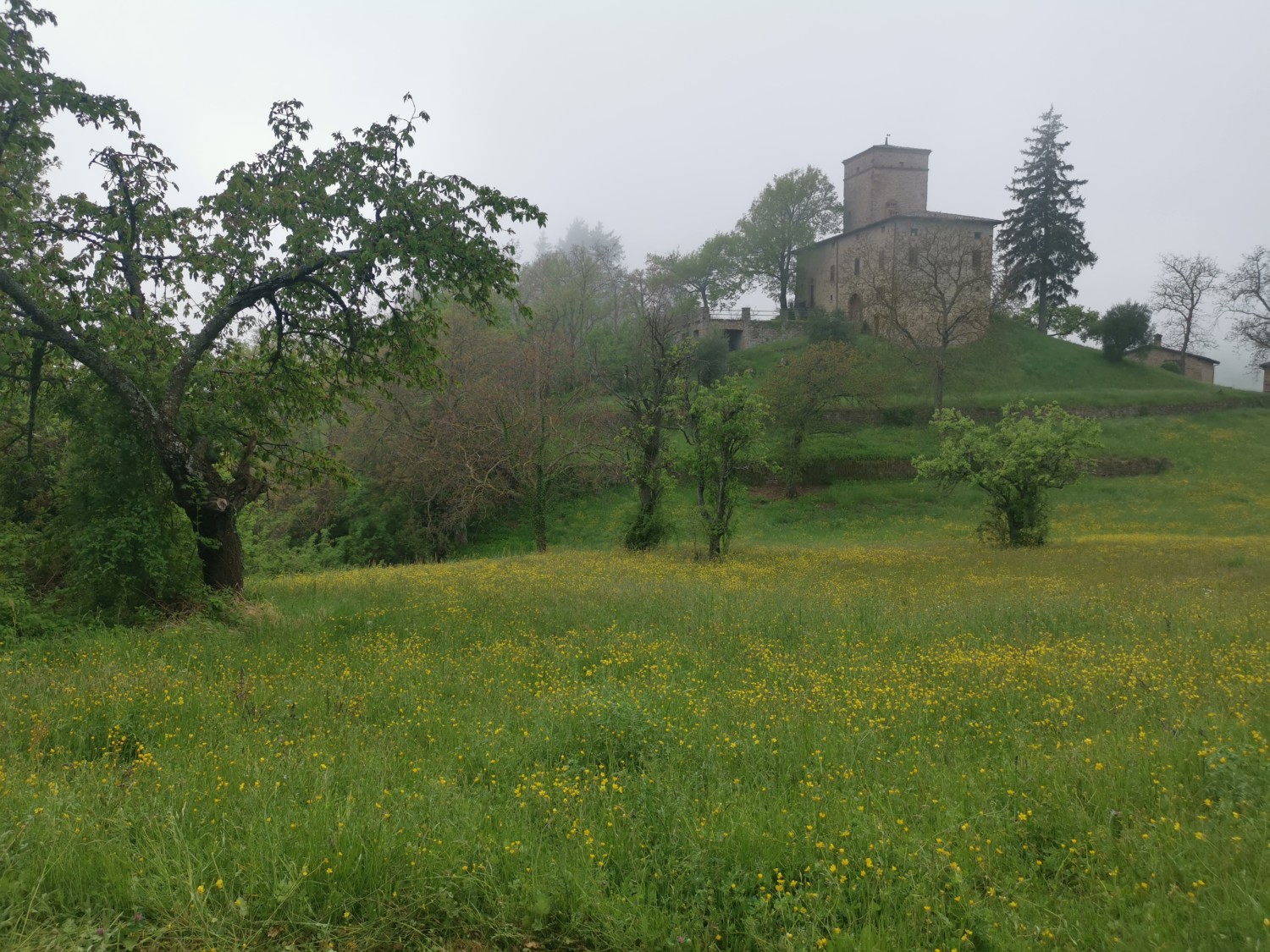 La Rocca di Roffeno La Rocca di Roffeno