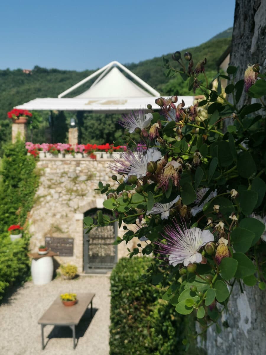 villa cariola scorcio villa cariola scorcio