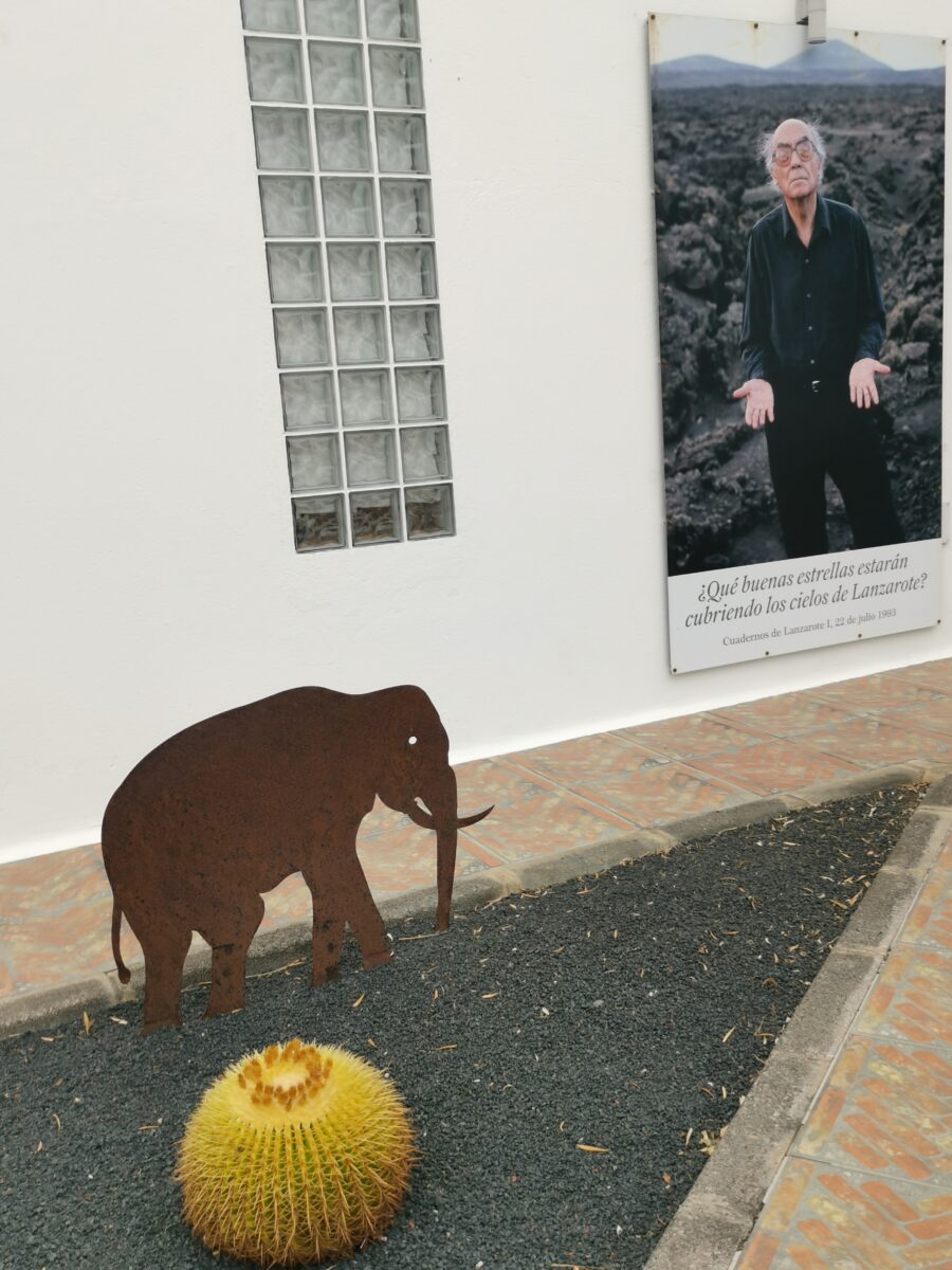 casa saramago ingresso (2) casa saramago ingresso (2)