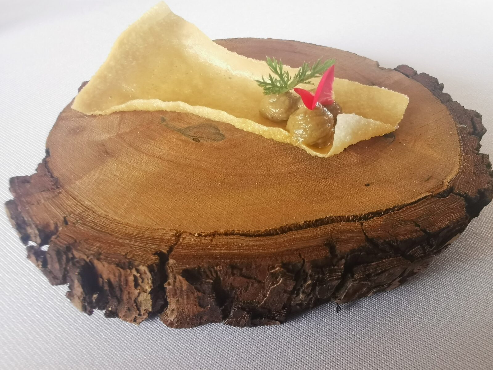 zattera sul fiiume sava slovenia zattera sul fiiume sava slovenia